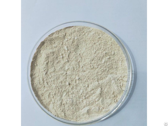 Boswellia Extract 65%