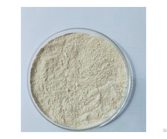 Boswellia Extract 65%