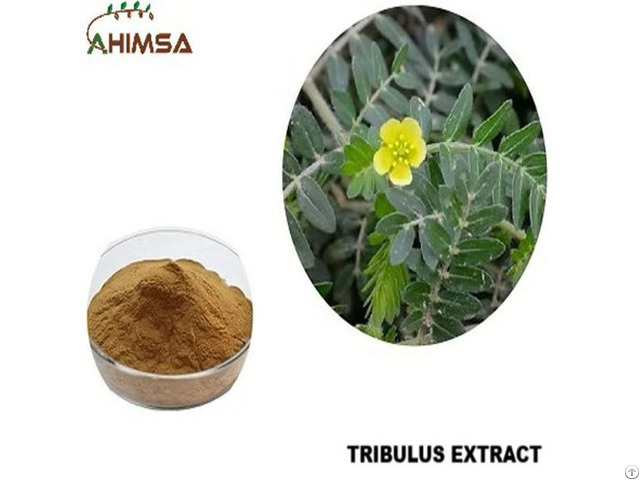 Tribulus Extract