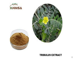 Tribulus Extract