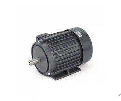 Custom Electric Motor