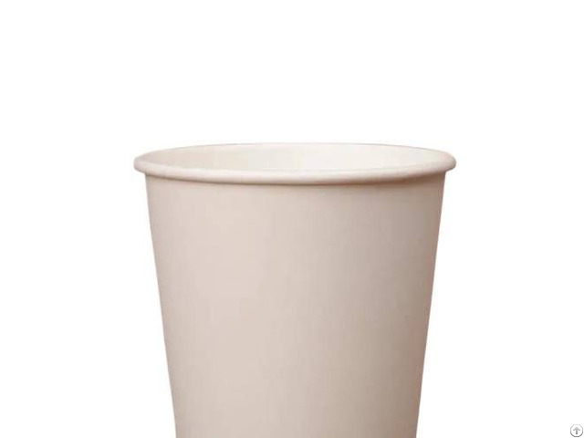 Paper Cups In Disposable
