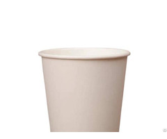 Paper Cups In Disposable
