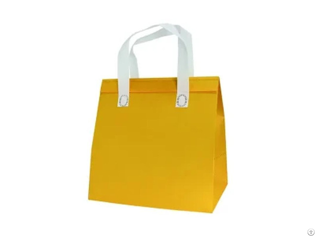 Non Woven Thermal Insulation Bag