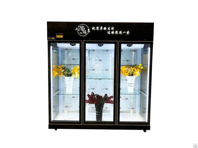 Flower Display Chiller Flower Display Chiller