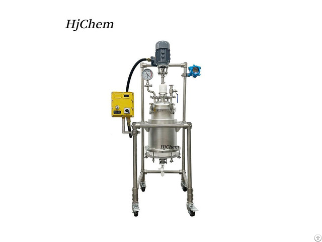 Pilot Plant Jacketed Stainless Steel Filter Reactor