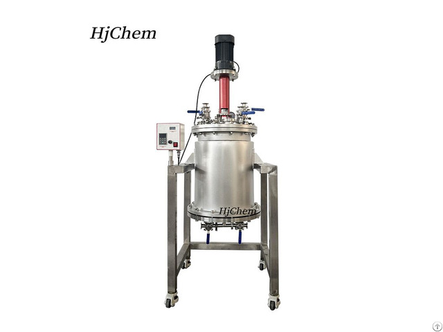 50l Pilot Nutsche Filter Reactor Stainless Steel