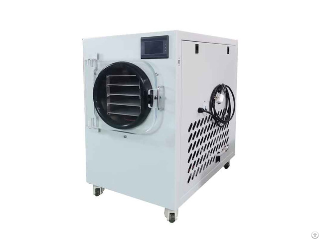 Small Home Freeze Dryer Machine For Food