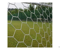 Gold Hongye Football Net