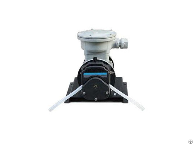 Frequency Conversion Explosion Proof Motor Peristaltic Pump Frequency Conversion Explosion Proof Motor Peristaltic Pump