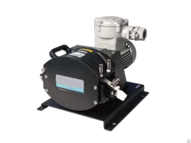Ry Conversion Explosion Proof Motor Peristaltic Pump Ry Conversion Explosion Proof Motor Peristaltic Pump