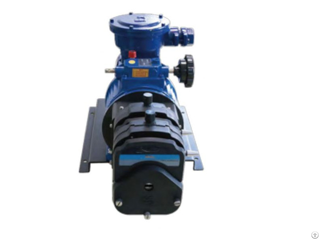 Ryexplosion Proof Motor Peristaltic Pump