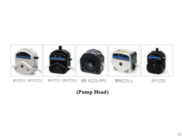 Ry Peristaltic Pump Filling System