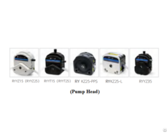 Ry Peristaltic Pump Filling System
