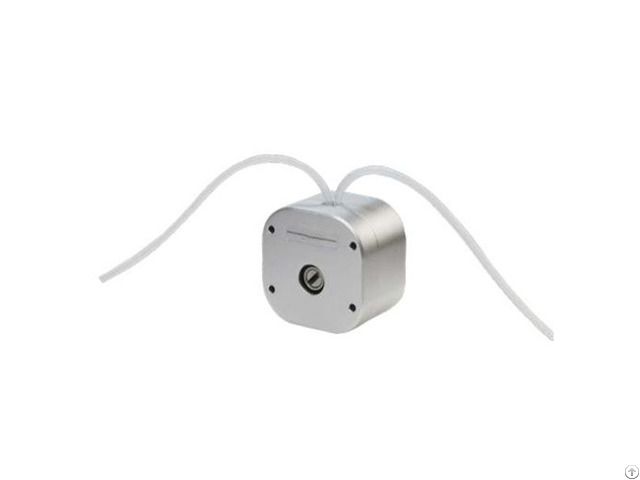 Ry Micro Pulsation Pump Head