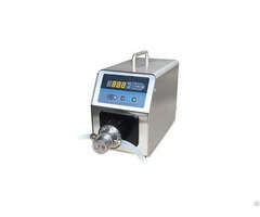 Ry Precision Gear Pump