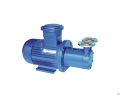 Ry Magnetic Driven Vortex Pump