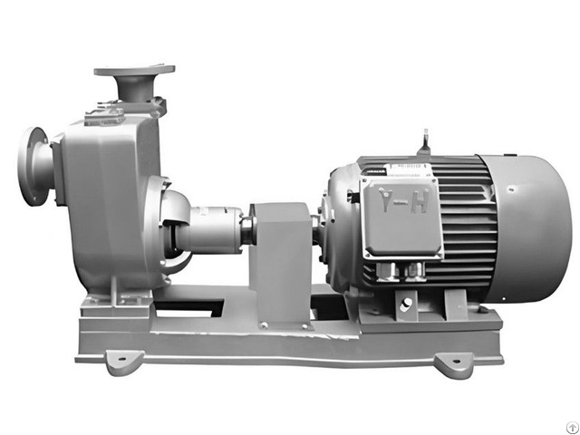 Cwz Marine Horizontal Selfpriming Centrifugal Pump