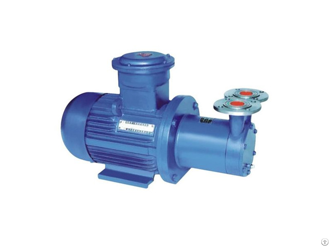 Magnetic Driven Vortex Pump