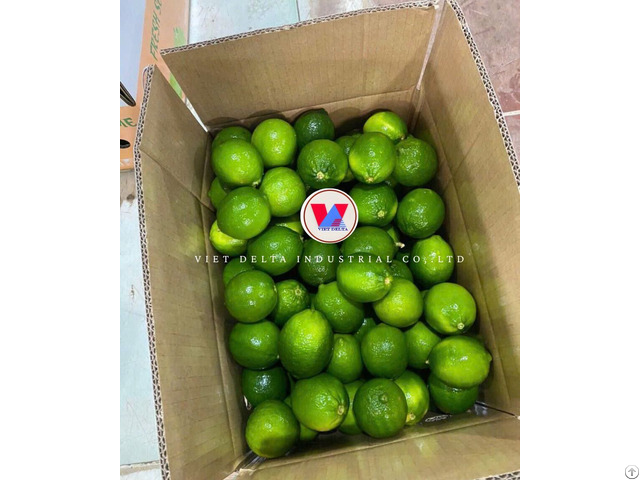 Premium Frozen Seedless Lime Premium Frozen Seedless Lime