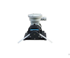 Ryfg601s A3 Frequency Conversion Pump