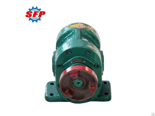 Large Quantity Horizontal Cast Iron 2cy Series Protable Gear Oil Transfer Pump Motor