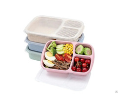 Compartments Lunch Box
