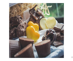 Artisan Chocolate Molds
