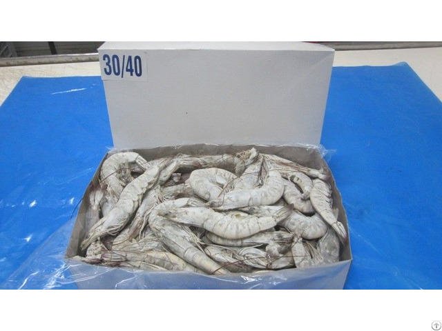Frozen Raw Vannamei White Head On Shrimp