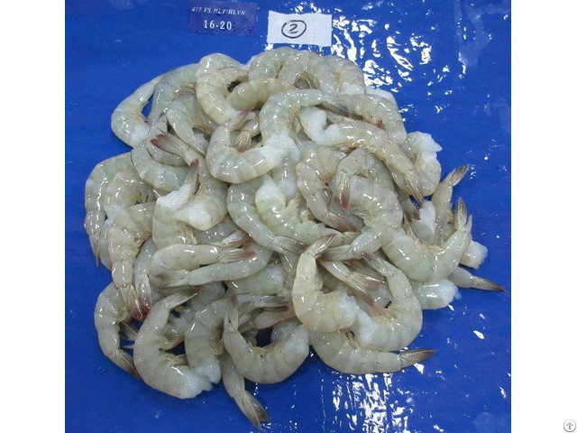 Frozen Raw Vannamei White Headless Shrimp