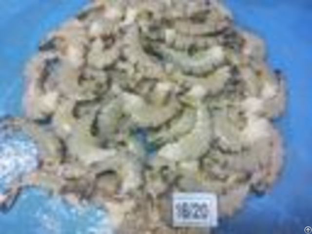 Frozen Raw Black Tiger Headless Off Shrimp