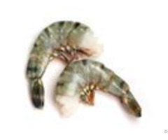 Frozen Raw Black Tiger Headless Easy Peel Shrimp