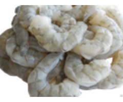 Frozen Raw Black Tiger Peeled Deveined Tail Off Shrimp