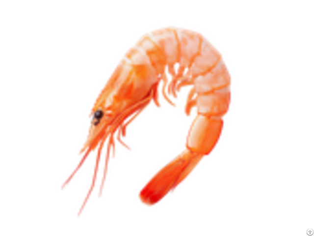Frozen Cooked Head On Shrimp