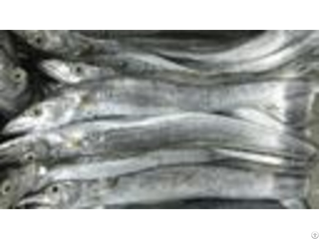 Frozen Ribbon Fish