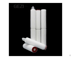 Pleated Microporous Filter Cartridge