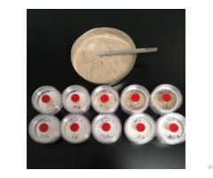 Fuel Contamination Test Dust