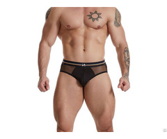 Oem Men Black Mesh Transparent Brief