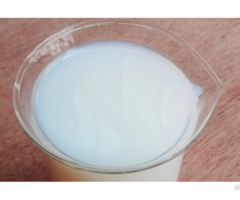 Hydroxylated Acrylic Dispersion Std 2025