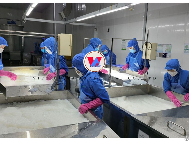 Nata De Coco Best Price