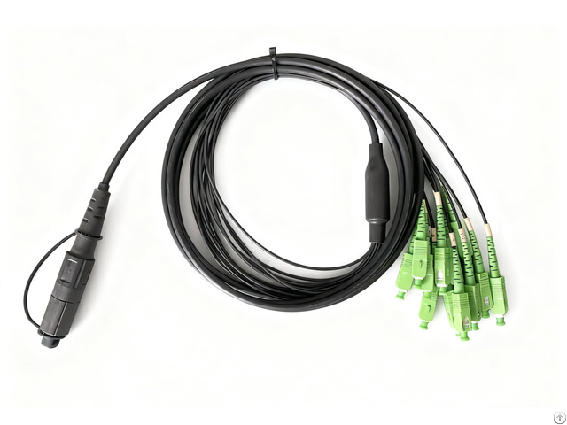 Neatel Fiber Optic Patch Cords Pigeons