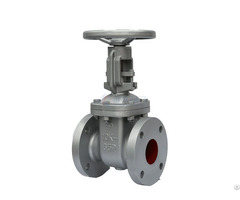 A Gate Valve