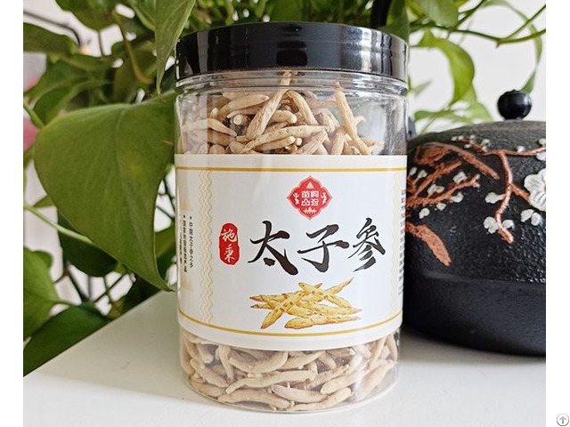 Taizishen Pseudostellaria Prince Ginseng Herbs Supply