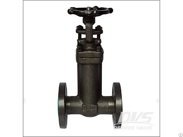 Forged Bellow Seal Gate Valve A105n Cl150 600 1 2 4 Inch Flanged