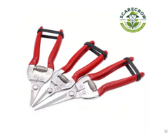 Garden Pruning Shears Stainless Steel