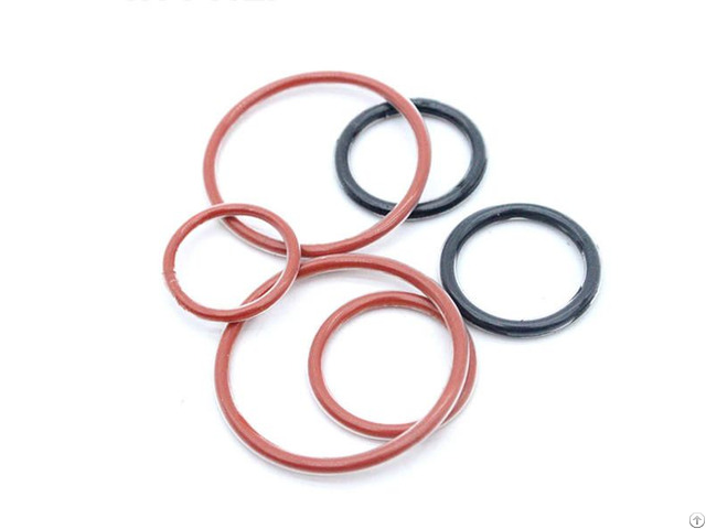 Teflon Encapsulated O Ring