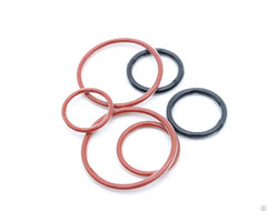 Teflon Encapsulated O Ring
