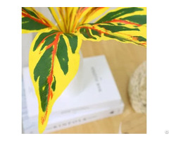 Artificial Dracaena Trifasciata