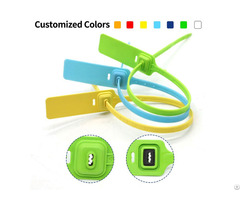 Plastic Seal For Trunk Tamper Proof