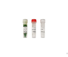 Reliable Pcr And Qpcr Solutions